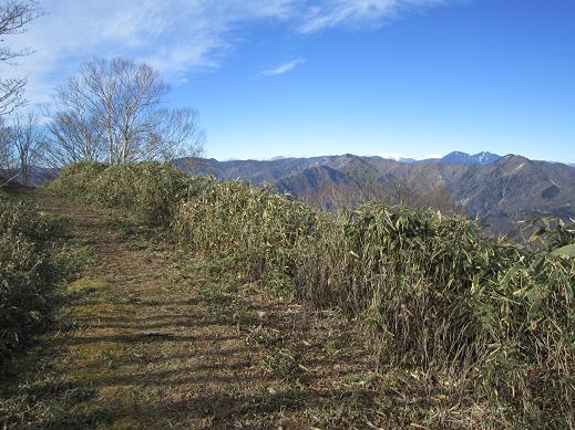 大光山 おおぴっかりやま　　安倍峠から草木へ_f0302771_16232092.jpg