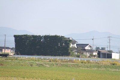 四日目は、出雲へ_e0098473_037409.jpg