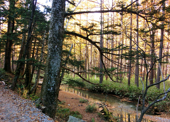 f0084573_23131912.jpg