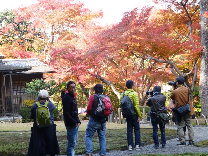 奈良オフ会　吉城園　その２_d0042474_195157100.jpg