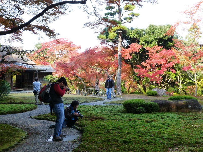 奈良オフ会　吉城園　その２_d0042474_19523147.jpg