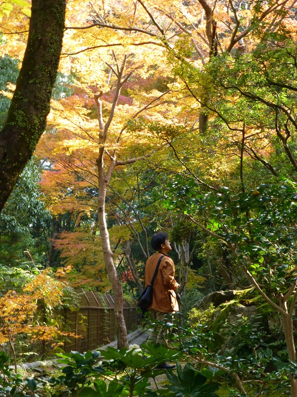 奈良オフ会　吉城園　その１_d0042474_1991811.jpg