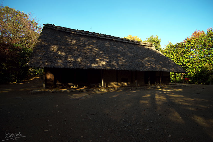 e0153076_14164171.jpg