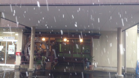 本格的に雪！_d0182179_1595987.jpg