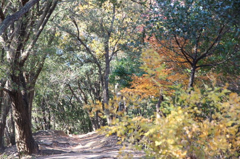 e0024081_12121143.jpg