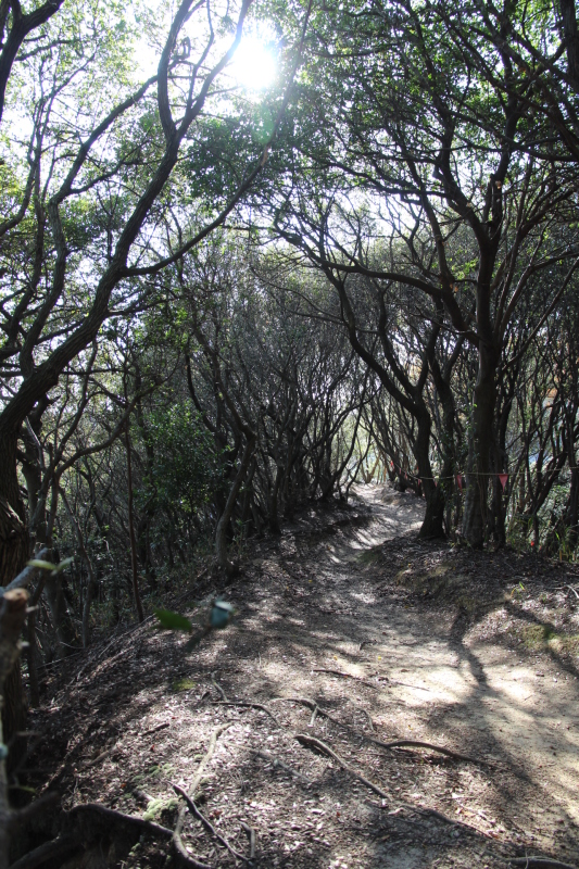 e0024081_12154476.jpg