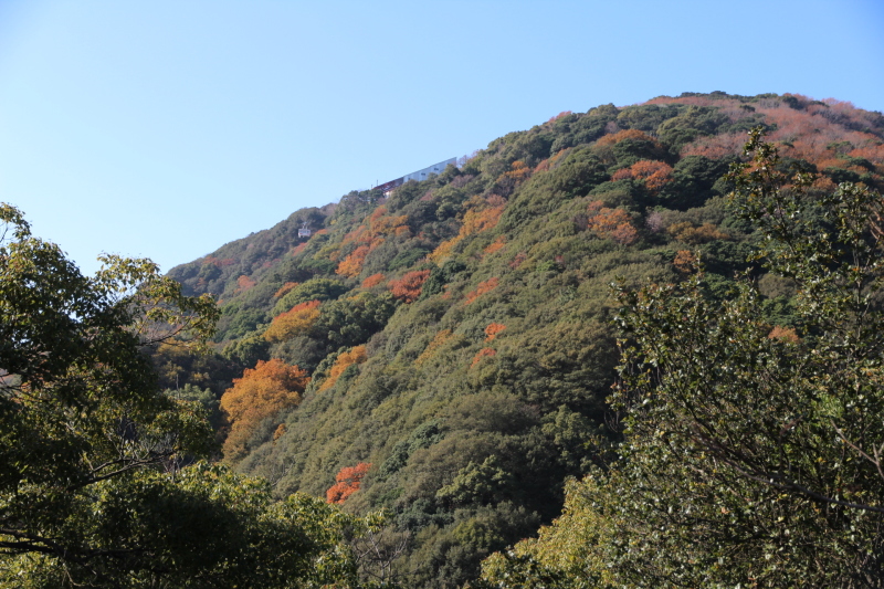 e0024081_12275183.jpg