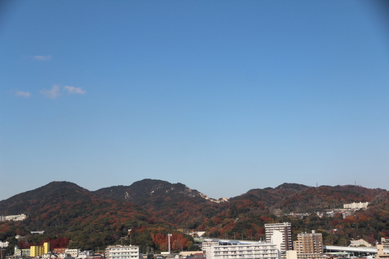 e0024081_12284241.jpg