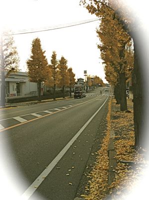 b0097482_23432470.jpg