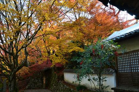 地蔵寺の紅葉から延命寺 観心寺へ 13 Yukoの花散歩