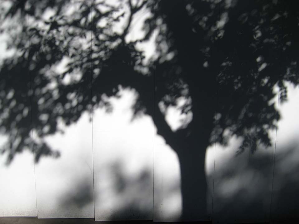 c0260295_16373631.jpg