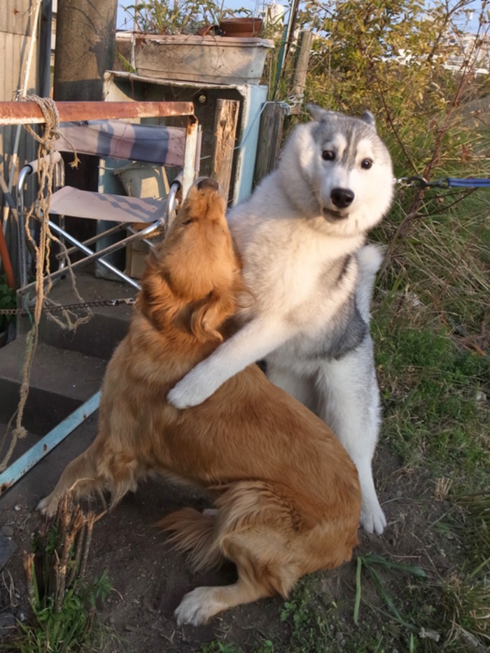 もはや恒例?_c0049299_17433242.jpg