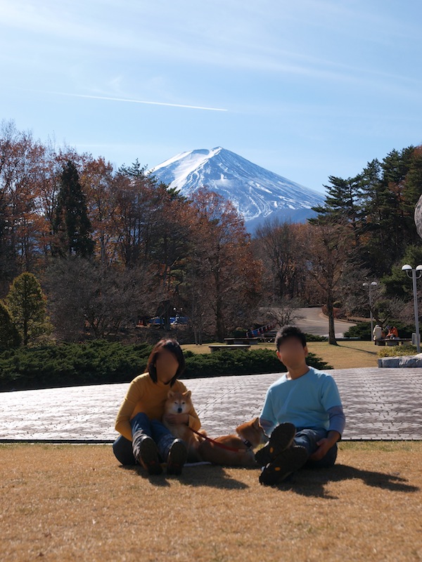 年賀素材を求めて_f0109601_20215297.jpg