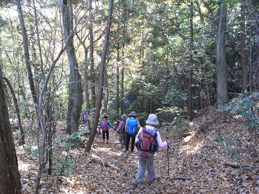 f0187402_20514311.jpg