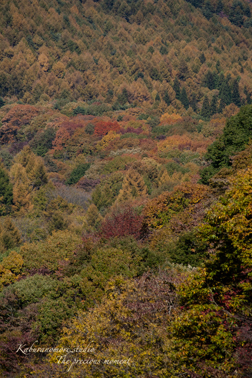 八ヶ岳一周/清里ー野辺山ー麦草峠編_c0137403_16292221.jpg