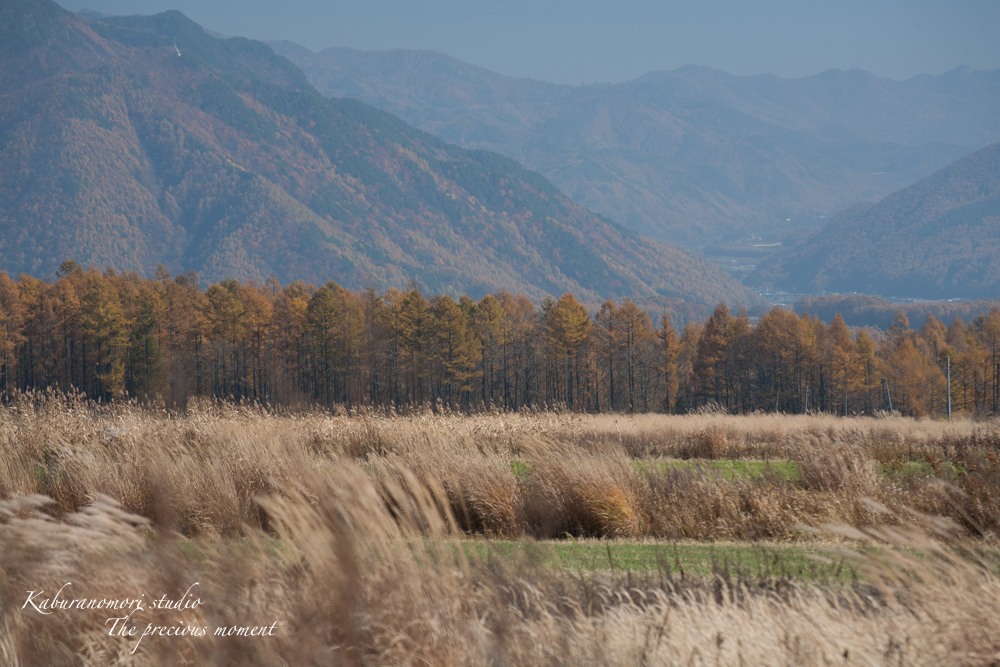 八ヶ岳一周/清里ー野辺山ー麦草峠編_c0137403_16294676.jpg