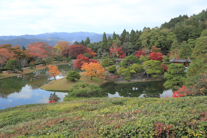 京都仙洞御所・二条・桂・修学院離宮御写真及実測図集 1～15