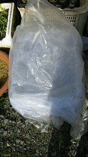 c0280206_8582077.jpg