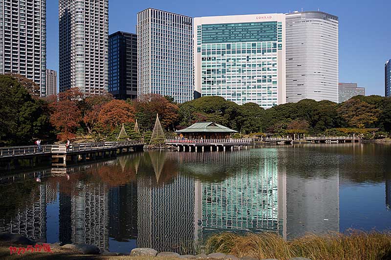 b0134907_13385931.jpg