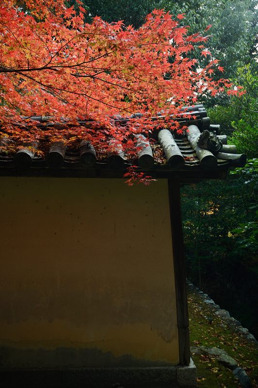 f0032011_1415673.jpg