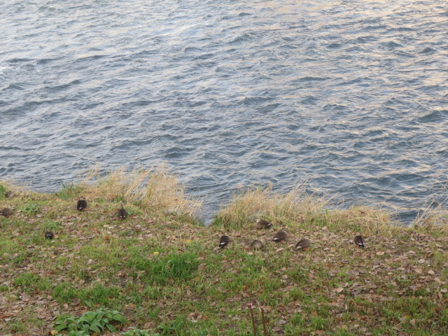 f0248616_1118271.jpg