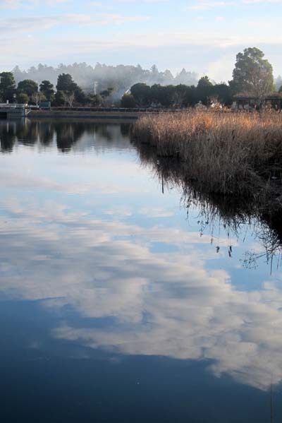 f0147025_15523849.jpg