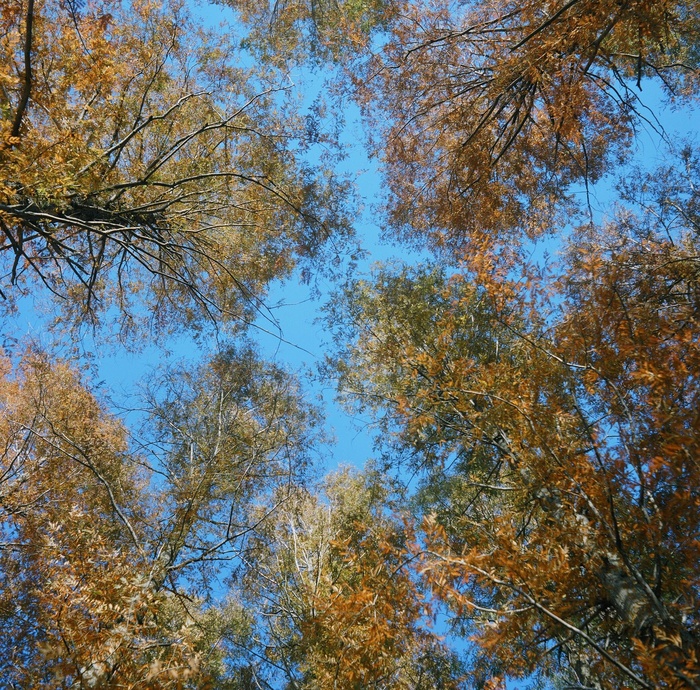 a0255730_199132.jpg