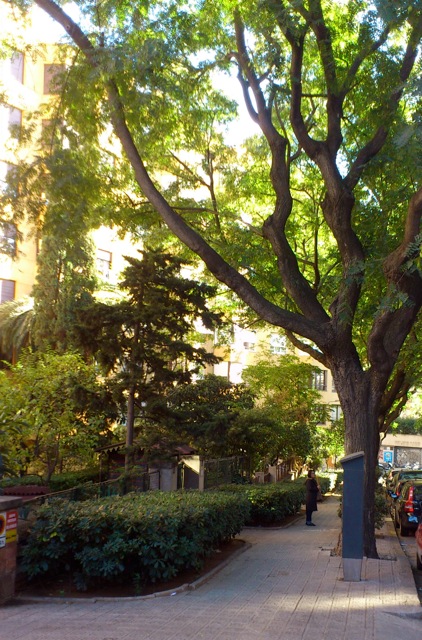 a0059032_2292820.jpg