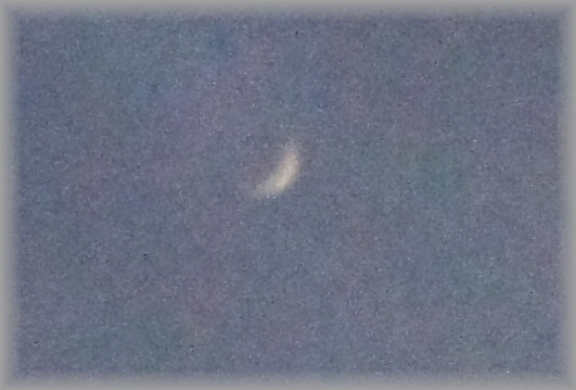 c0080132_1246261.jpg