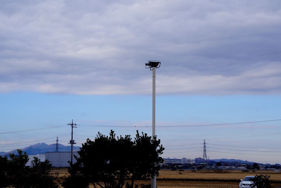 e0149934_20102413.jpg