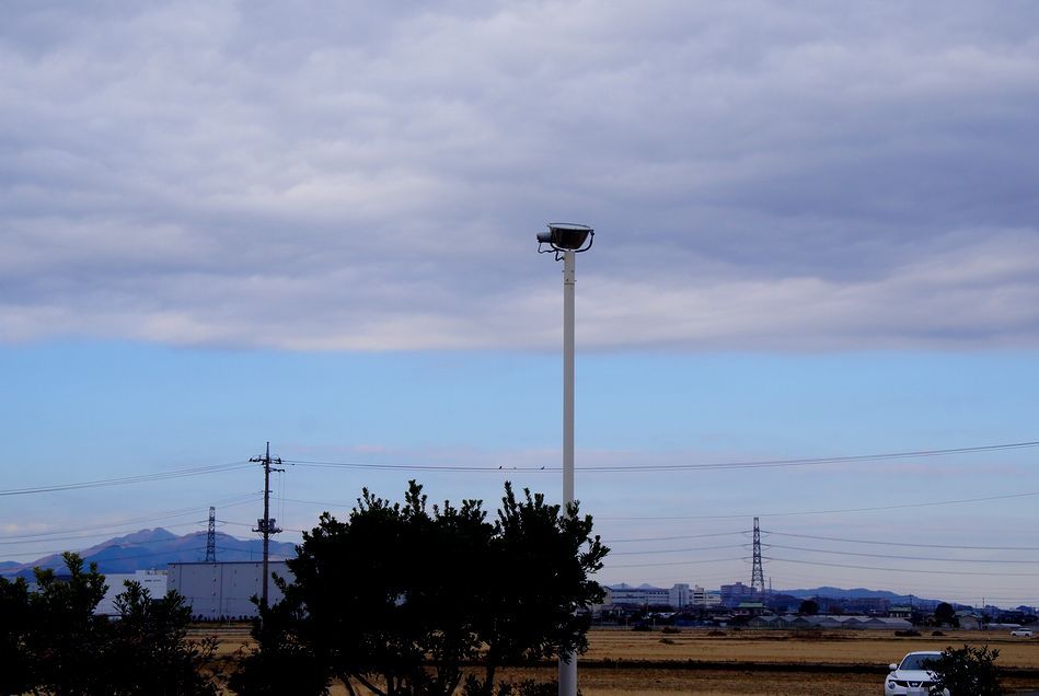 08/December 寒い空と神社の紅葉と山茶花_e0149934_20102413.jpg