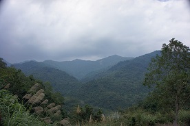 b0183335_16553928.jpg
