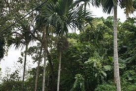 b0183335_1656937.jpg