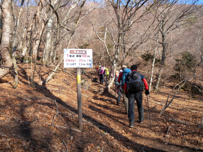 鶴見岳＆南平台の落葉樹林路を歩く！_e0272335_20531850.jpg