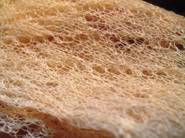 c0177238_19264744.jpg