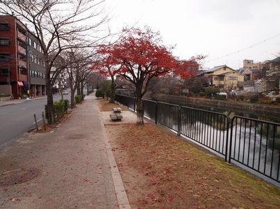 d0079440_1858431.jpg