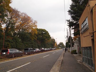 d0079440_19522389.jpg