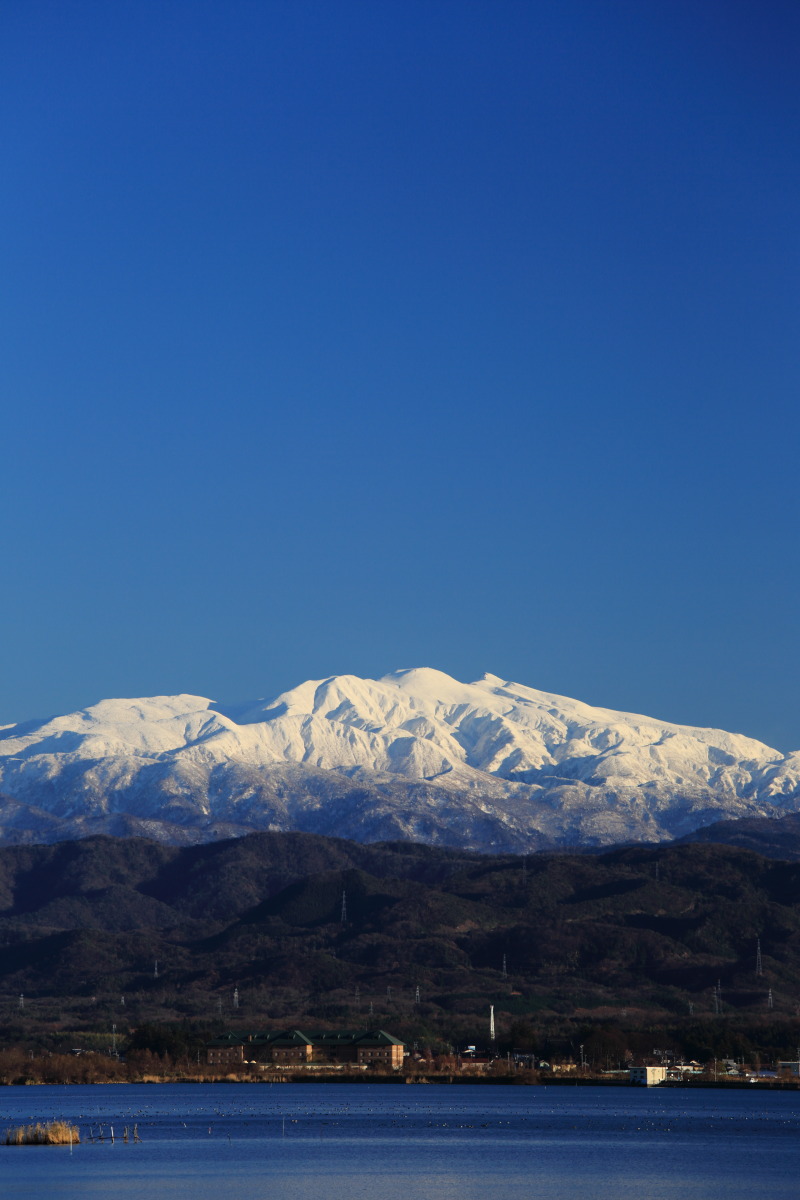 d0135242_21281481.jpg