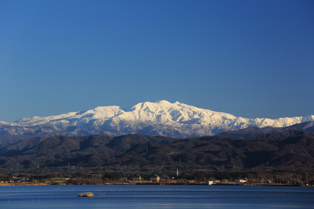d0135242_21284510.jpg