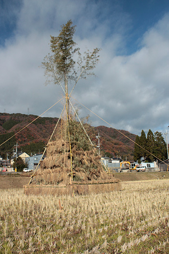 2013/12/7（散策）大枝の冬_b0072947_16501587.jpg