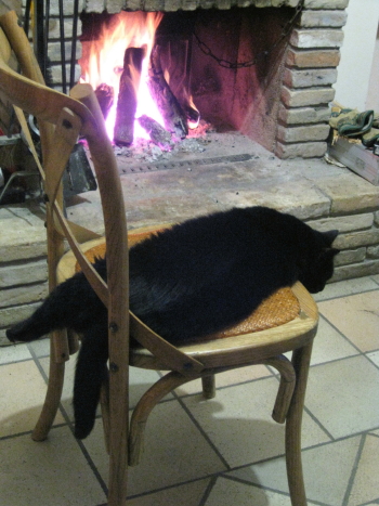 f0077159_74134.jpg