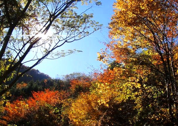 ＜2013年師走＞年の瀬は「秩父」三昧・・！（黒山三滝・紅葉ハイク＆秩父夜祭り）_c0119160_18133024.jpg