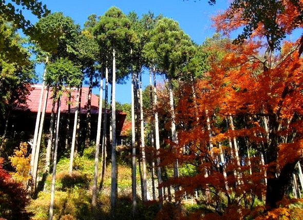 ＜2013年師走＞年の瀬は「秩父」三昧・・！（黒山三滝・紅葉ハイク＆秩父夜祭り）_c0119160_2041539.jpg