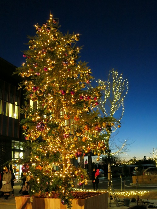 f0236260_22223180.jpg