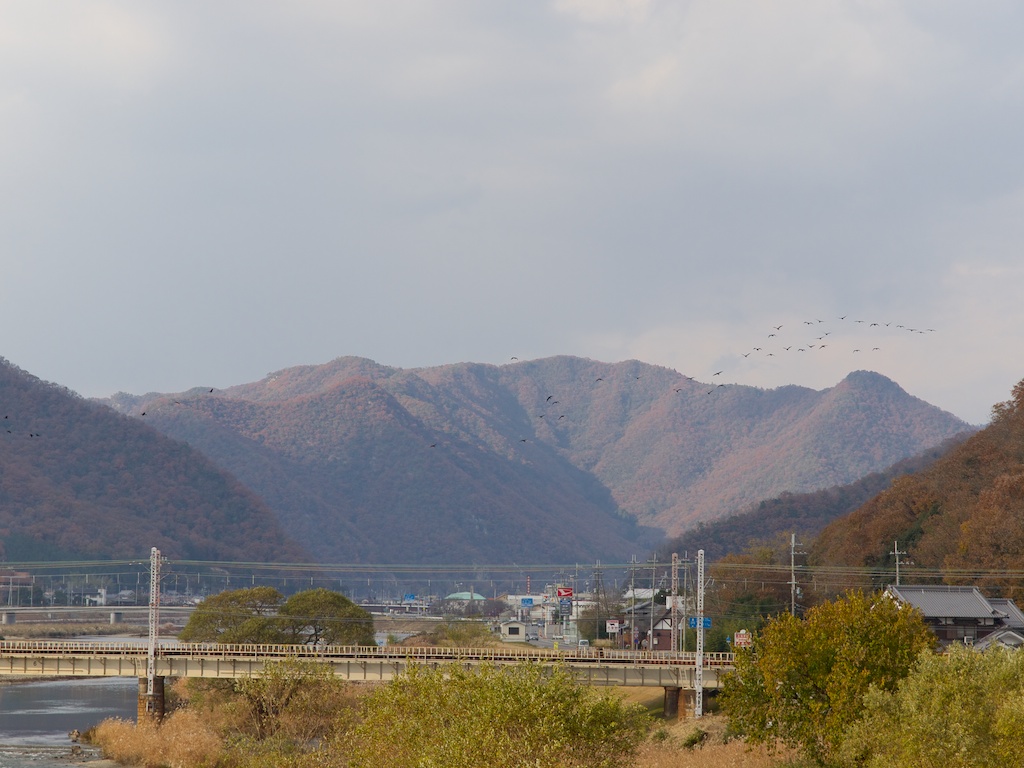 b0148762_1040254.jpg