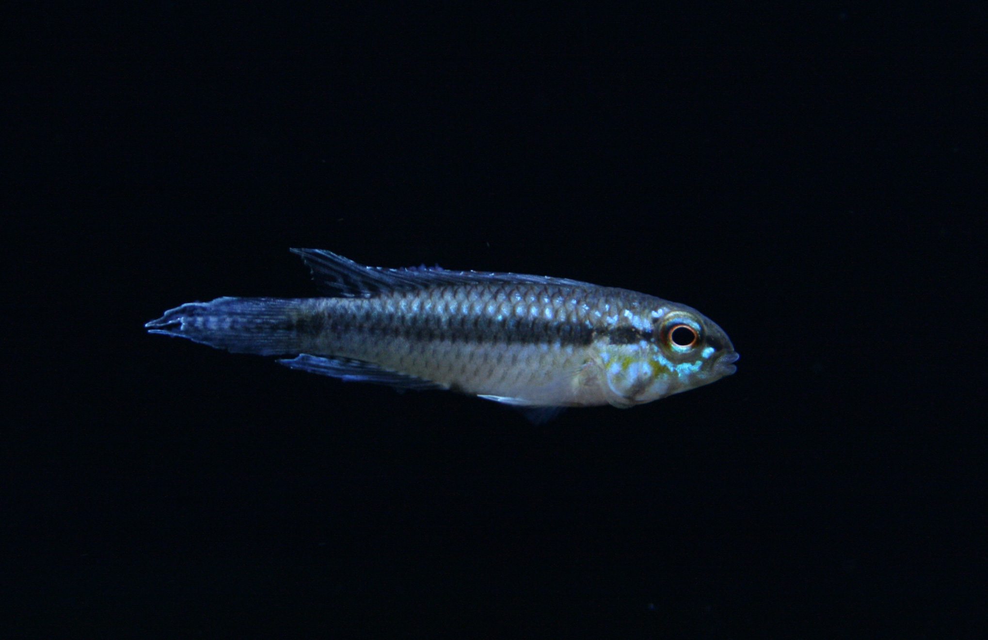 a0162263_19422019.jpg