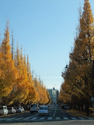 c0055363_16011146.jpg
