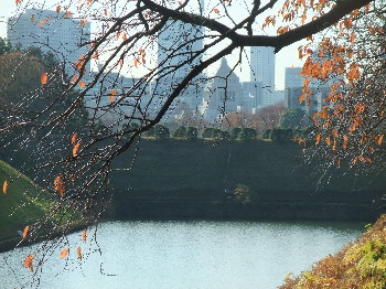 c0055363_16065110.jpg