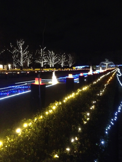 昭和記念公園　クリスマスイルミネーション_f0016868_23074343.jpg