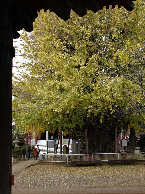b0006870_22312360.jpg